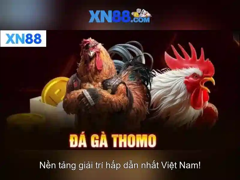 💎hôm nay nên đánh con gì miền bắc💎