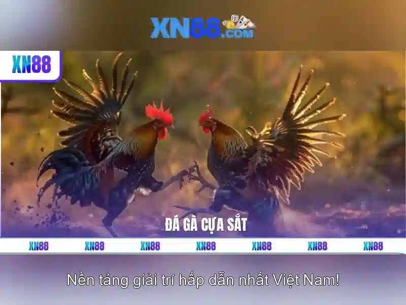💎bác hồ được vinh danh là gì💎