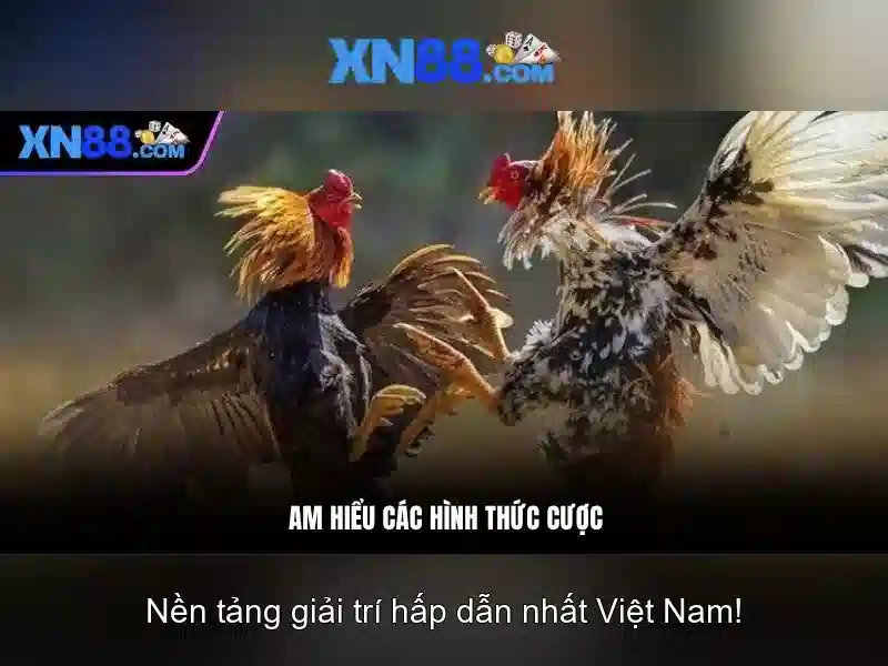 💎trang cá cược bóng đá dongtamlongan.com💎