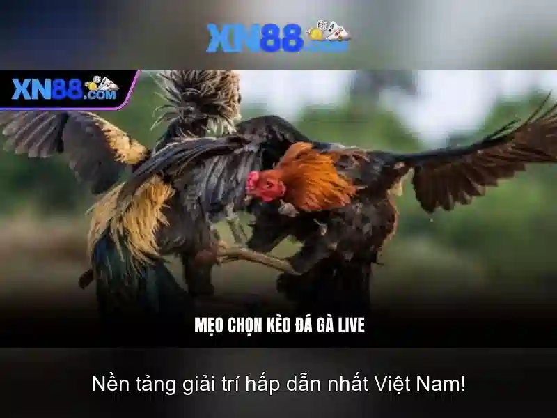 💎nhà+cái+uy+tín+226💎