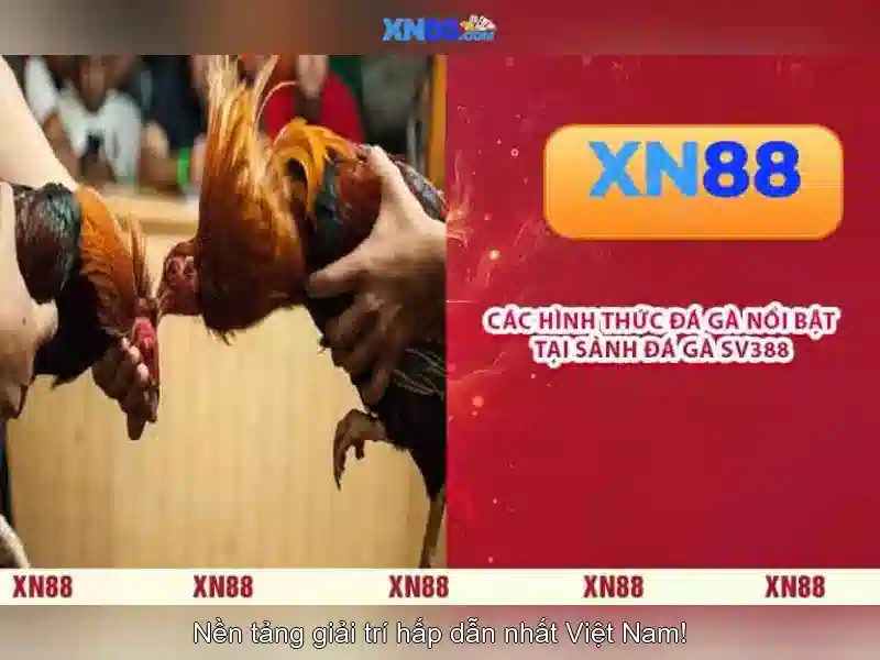 💎xn88 slot celebration💎