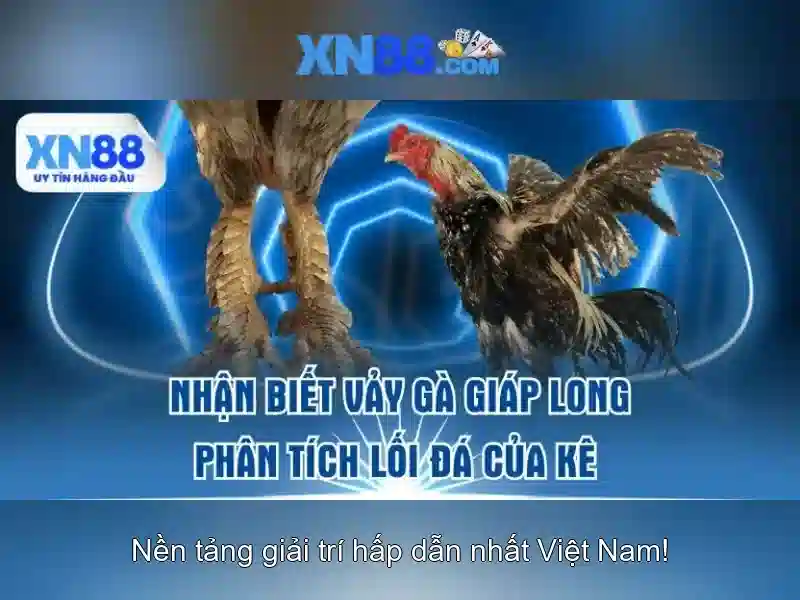 XN88 - XN88