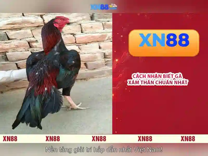 💎tải game nổ hũ 68💎