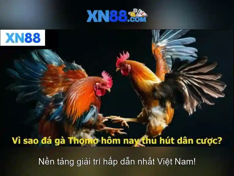 💎tongits go hb88💎