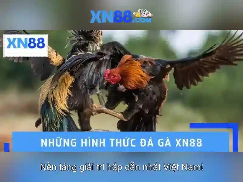 💎hb88 asian💎