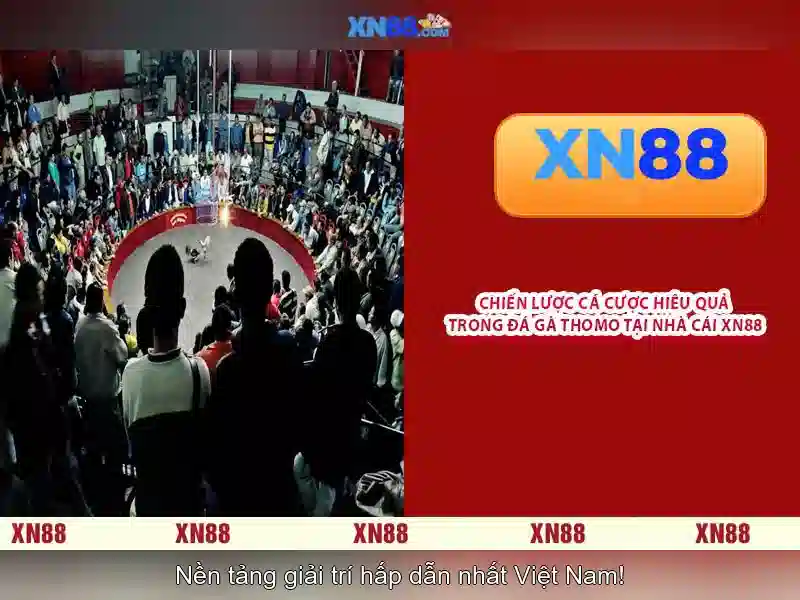 💎fun88 nhà cái bước 3: gõ từ khóa💎