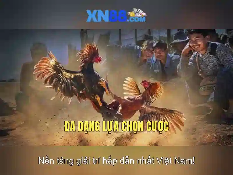 💎keo nha cai truc tuyen 24h💎