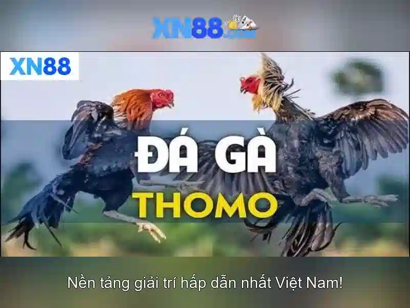 💎đăng nhập đăng nhập qh88 nhà cái uy tín💎