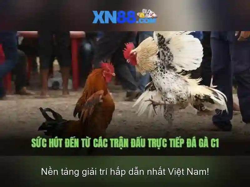 💎game nổ hũ gamebaidoithuong6.com💎