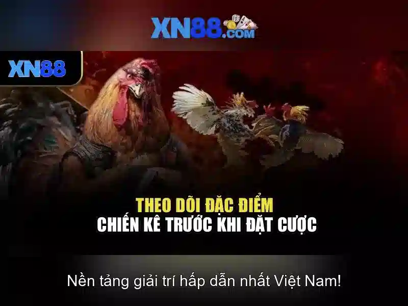 💎cách đánh cảm bằng trứng gà và vòng bạc💎