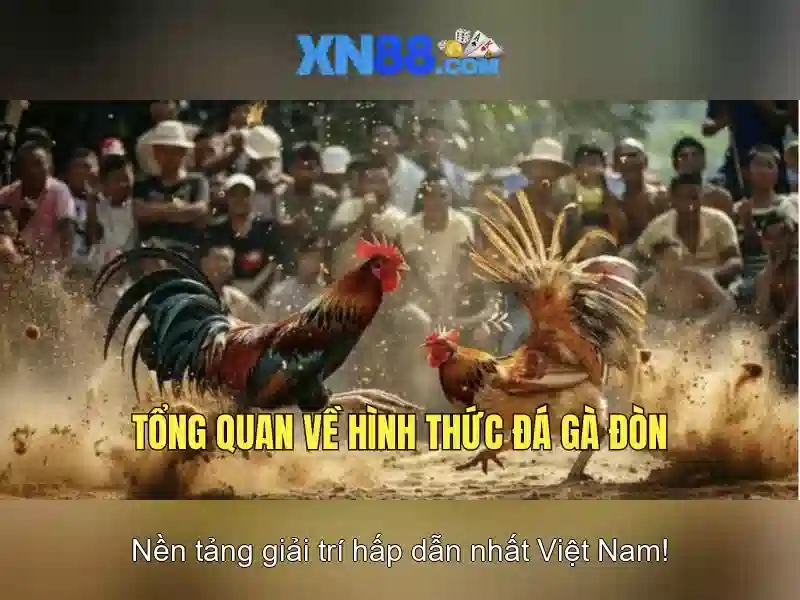 💎cai tao nha cu o hcm💎