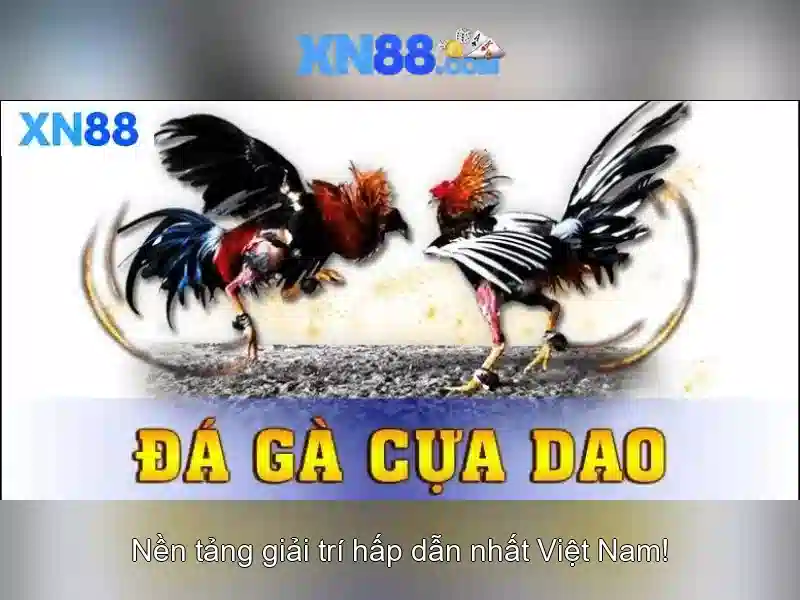 💎ti lẹ cá cuoc💎