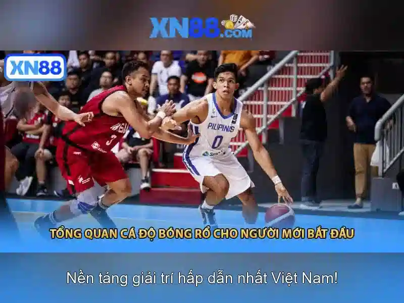 💎bác sĩ huệ đánh giá tăng trưởng💎