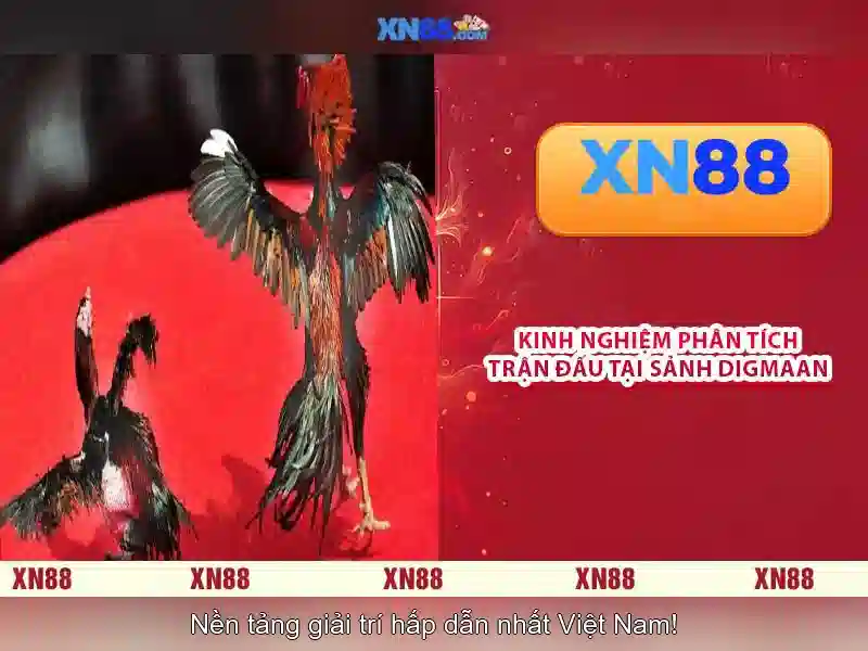 💎nhà cái uy tín top6💎