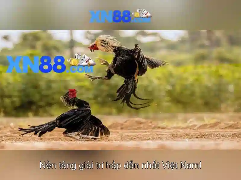 💎game câu cá và cuộc sống mod💎