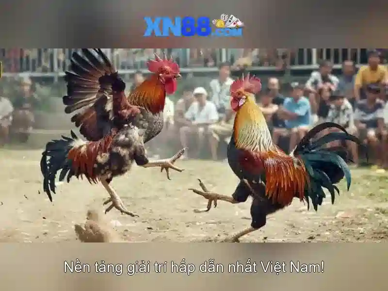 💎đánh sách bác sĩ bệnh viện tim hà nội💎