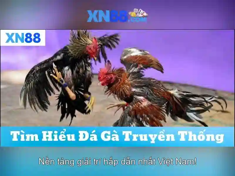💎nhà cái uy tín 226 top 12💎