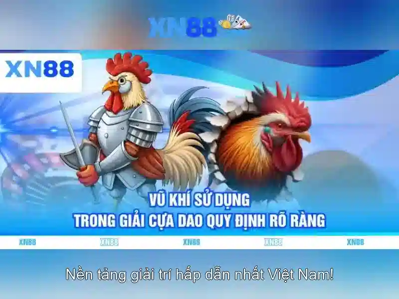 💎hướng dẫn mới nhất về tội đánh bạc💎