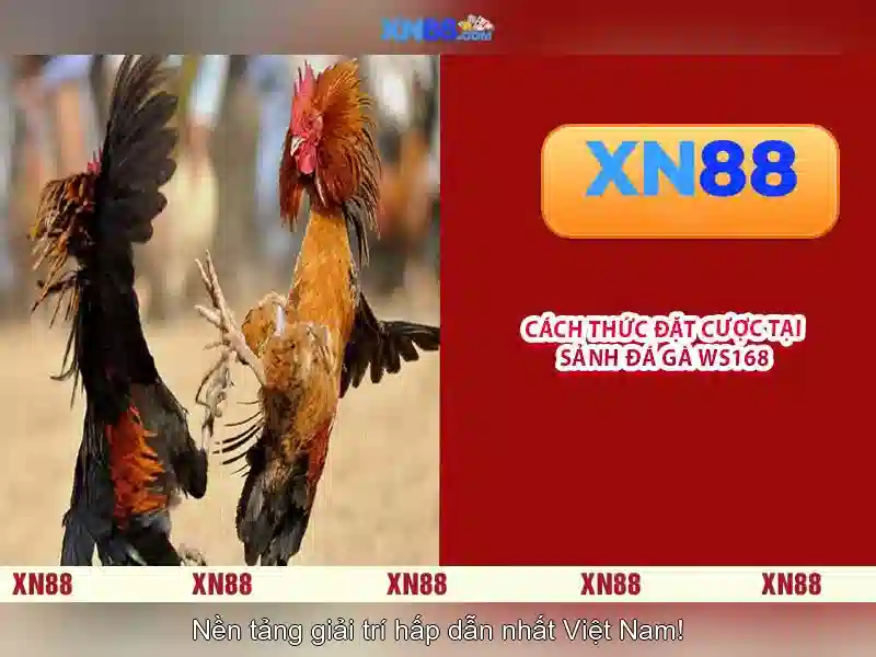 💎lộc quán 66b💎 - 66b phan đăng lưu - it act 66b