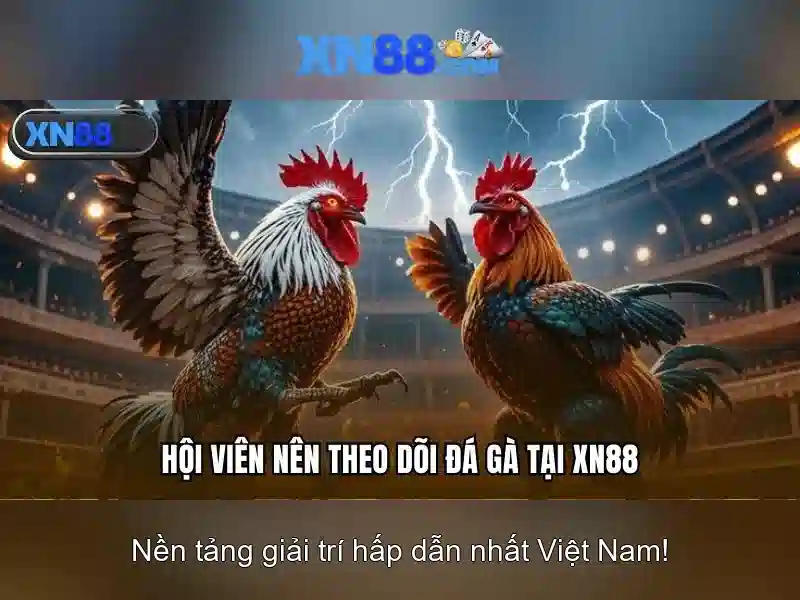 💎888 slot slot tactical analysis💎