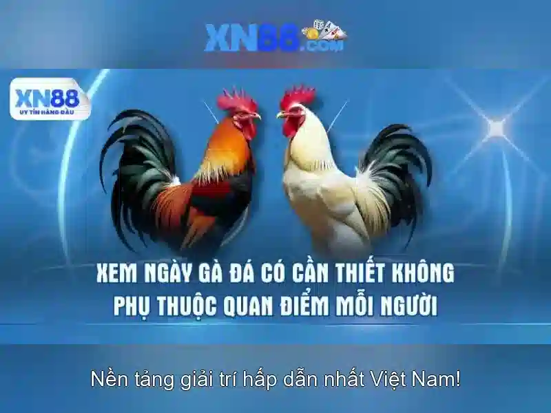 💎kèo nhà cái truc tiep💎
