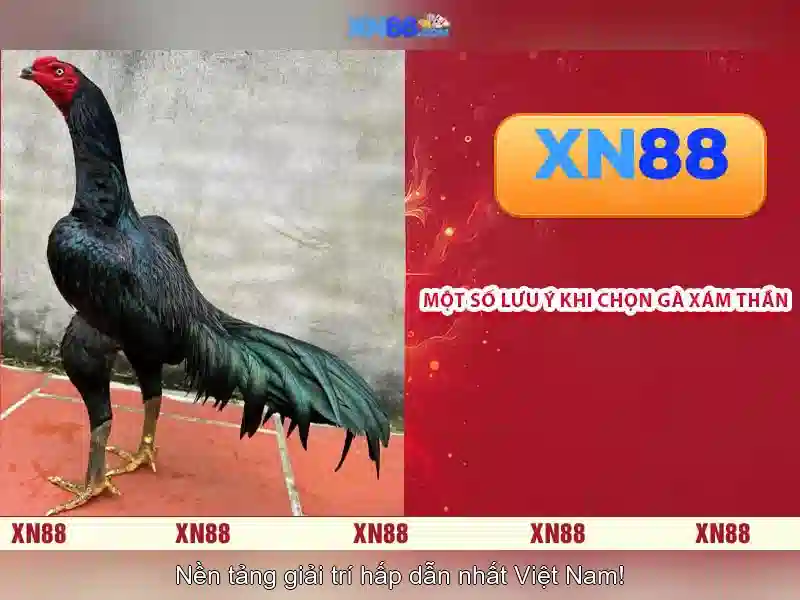 💎top 5 nhà cái bắn cá hàng đầu💎