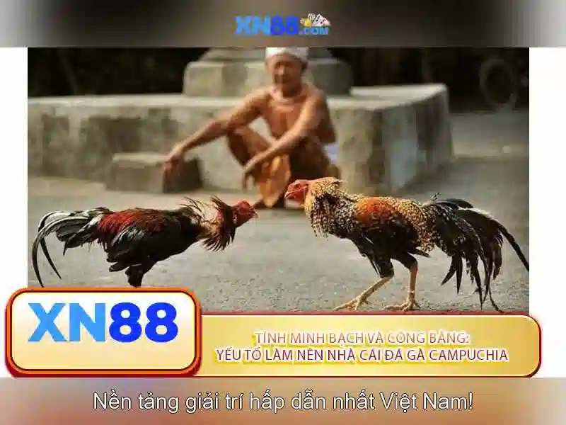 💎phim vô danh của vương nhất bác tập 1💎