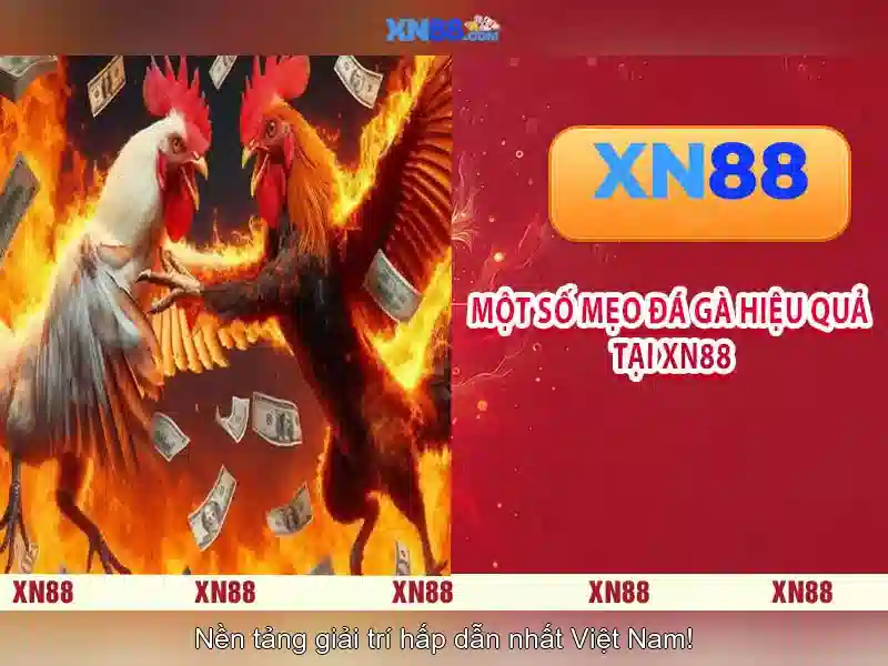 💎xem bong da tren kenh keo nha cai💎