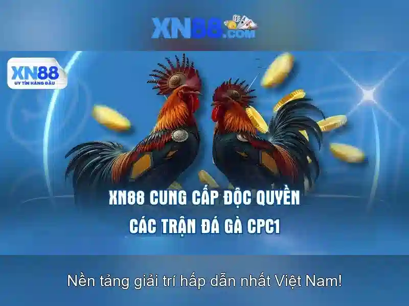 💎vsport ca cuoc💎