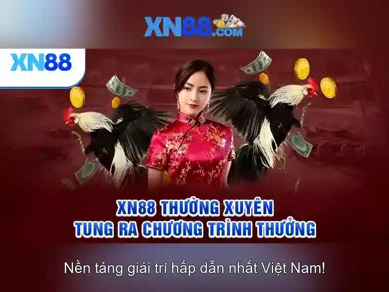 💎bingo bonus slots💎