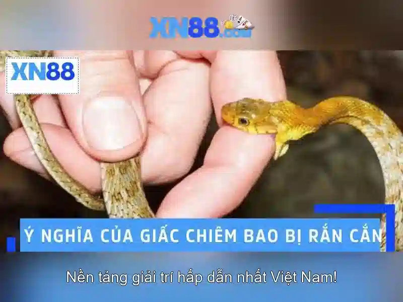 💎tại sao có thể nói cuộc sống với tất cả💎