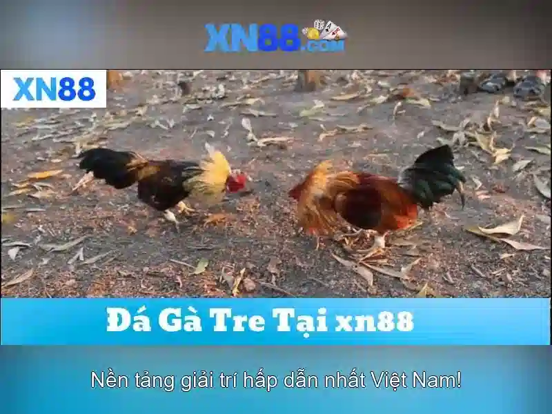 💎888slot 711 sign up💎