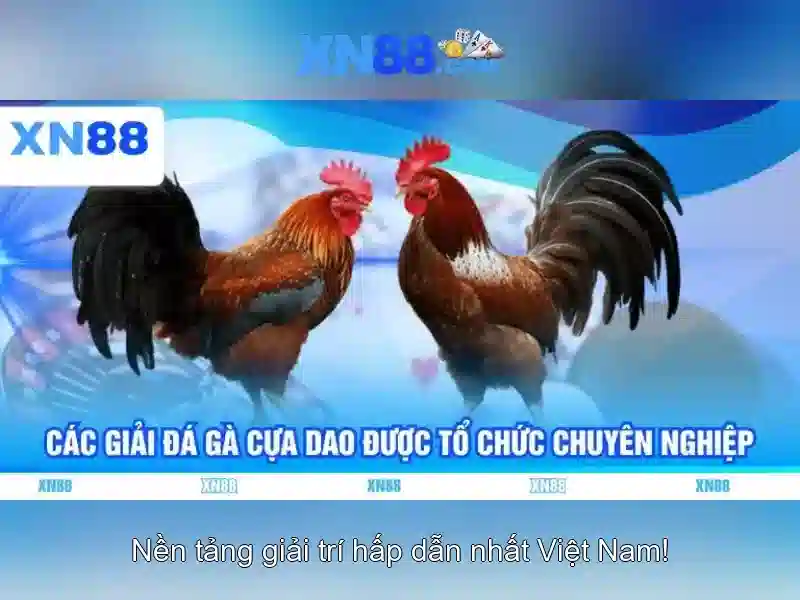 💎888slot slot free 100 no deposit bonus💎