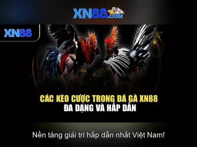 💎how to get a next vip slot💎