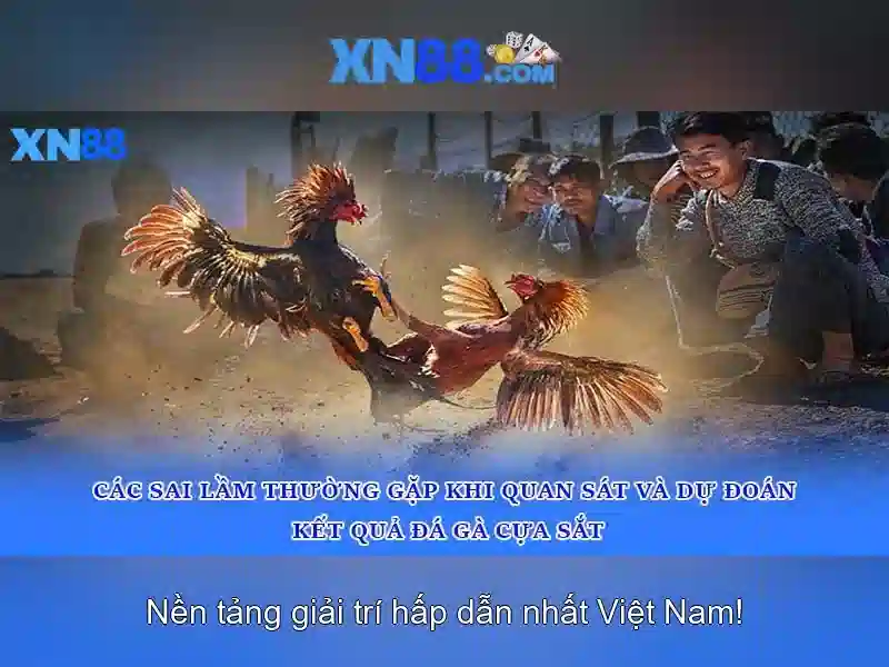 💎ty lê keo nha cai💎