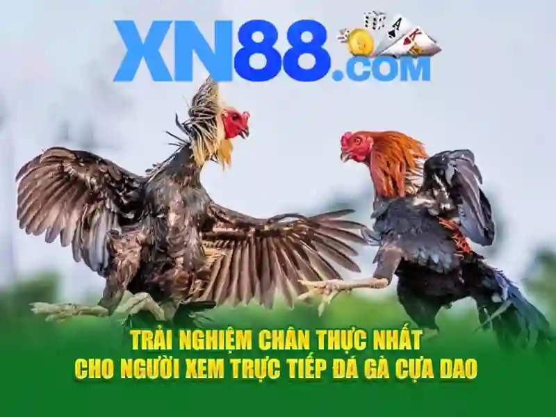  XN88 game - XN88