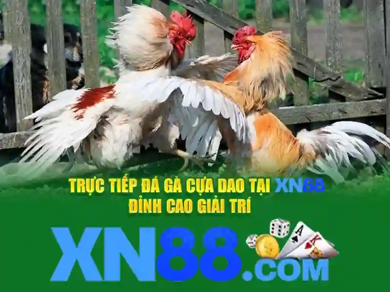 💎ty le ca cuoc bong da chau a💎